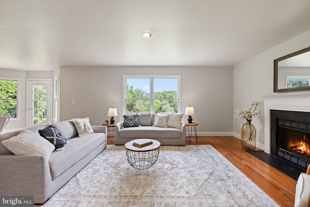 5722 Pond View Ln, Broad Run, VA 20137 - living room with wood finished floors, healthy amount of natural light, a fireplace with flush hearth, and baseboards