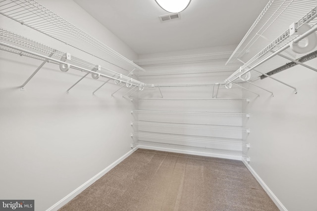 5722 Pond View Ln, Broad Run, VA 20137 - spacious closet with carpet