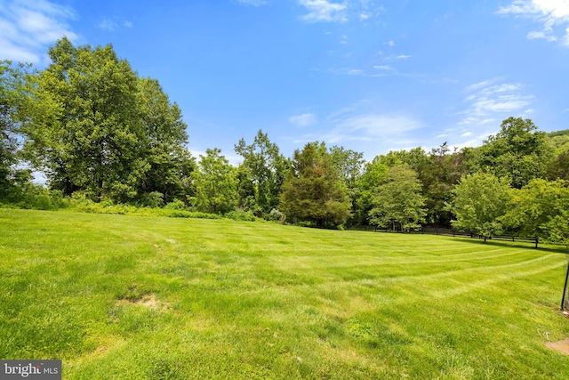 5722 Pond View Ln, Broad Run, VA 20137 - view of green lawn