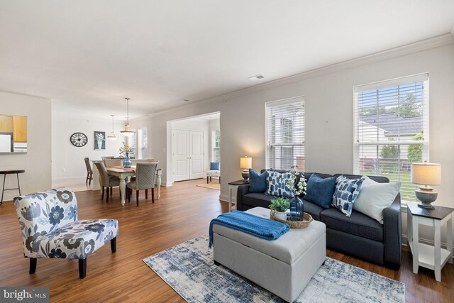6704 Holly Farm Ln Unit 203, New Baltimore, VA 20187 - living room featuring wood finished floors, crown molding, and baseboards