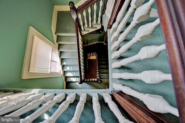 stairs featuring carpet