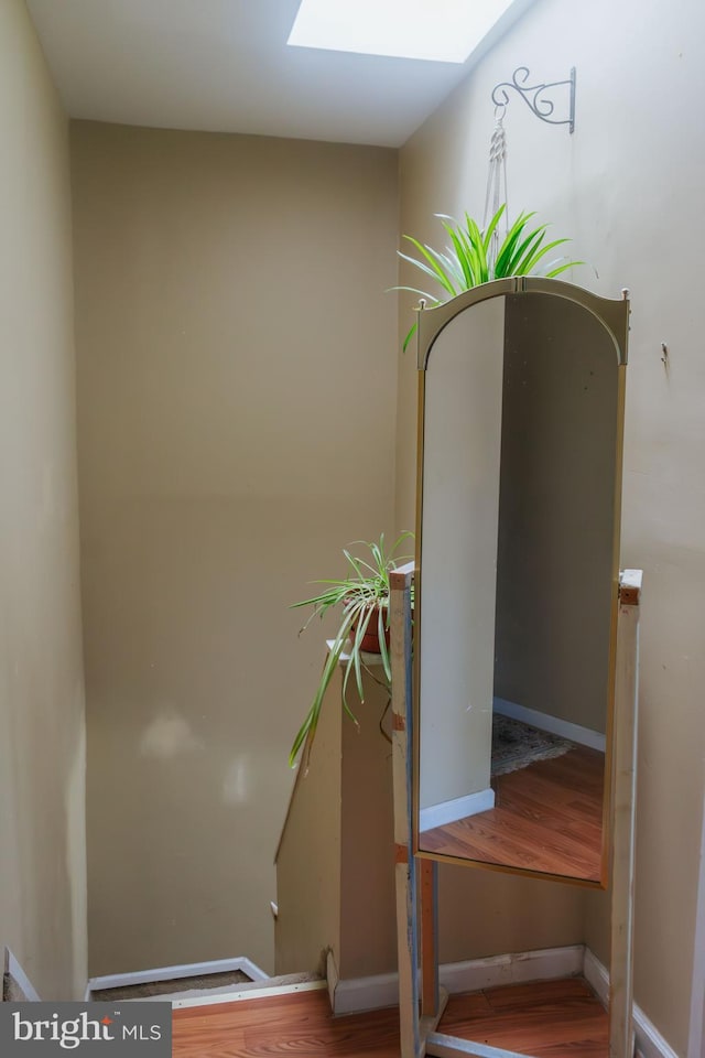 room details with a skylight, baseboards, and wood finished floors