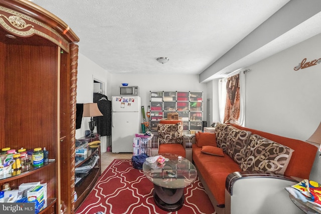 12714 Harborview Ct, Woodbridge, VA 22192 - living room with a textured ceiling