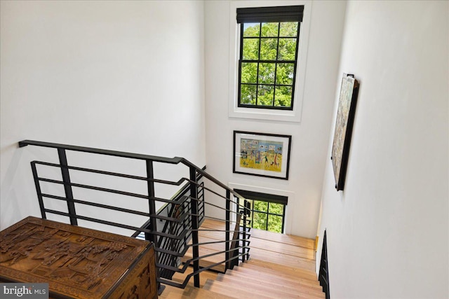 stairs featuring a healthy amount of sunlight and wood finished floors