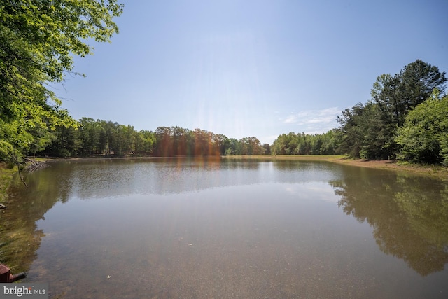 2 Heights Ct, Ruther Glen, VA 22546 - water view featuring a forest