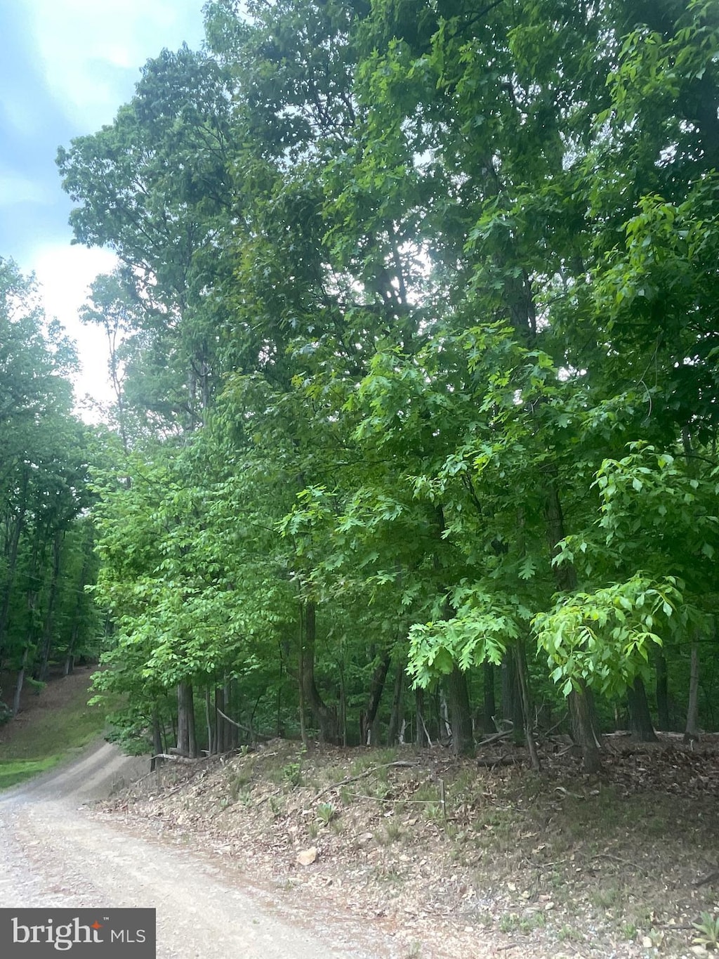 LOT24 Maple Ln, Bluemont, VA 20135