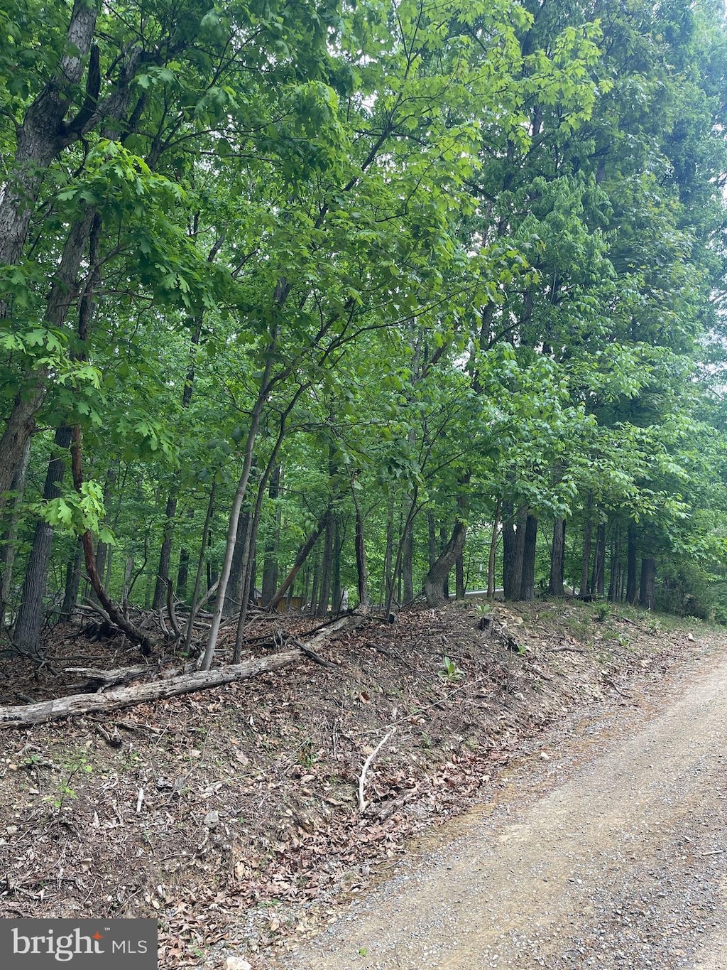 LOT24 Maple Ln, Bluemont, VA 20135