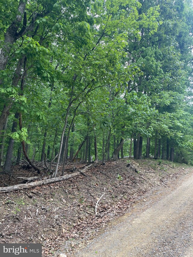 LOT24 Maple Ln, Bluemont, VA 20135