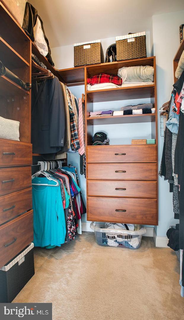 300 W Elm St Unit 2206, Conshohocken, PA 19428 - walk in closet featuring carpet floors