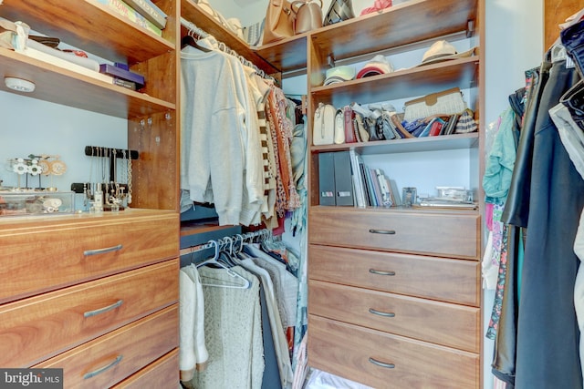 300 W Elm St Unit 2206, Conshohocken, PA 19428 - view of walk in closet