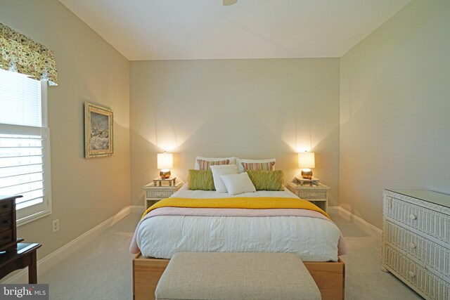 102 Morgan Way, Milton, DE 19968 - bedroom featuring carpet flooring and baseboards