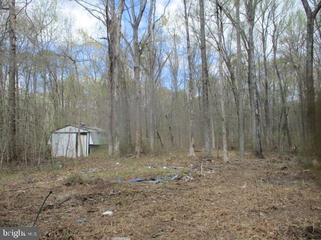 2014 Leland Ave, Baltimore, MD 21220 - view of yard featuring an outdoor structure, a shed, and a wooded view