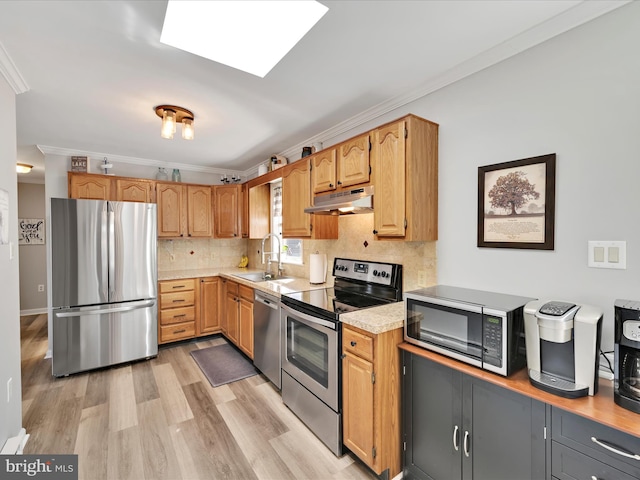 kitchen featuring a sink, crown molding, stainless steel appliances, and under cabinet range hood