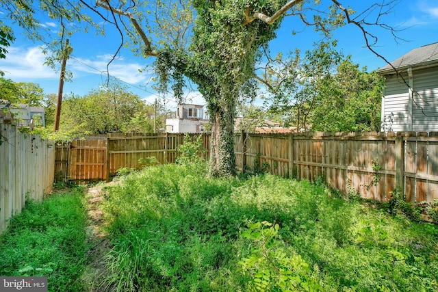 view of yard featuring a fenced backyard