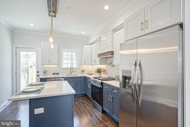 2326 Gerritt St, Philadelphia, PA 19146 - kitchen with backsplash, blue cabinetry, a sink, white cabinets, and stainless steel appliances
