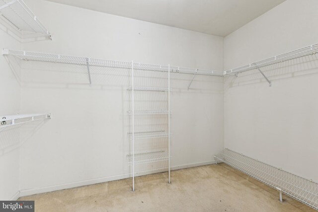 spacious closet with carpet floors