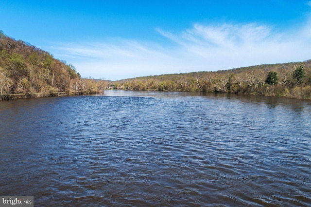 property view of water featuring a view of trees