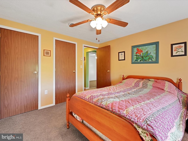 917 Houtztown Rd, Myerstown, PA 17067 - bedroom with carpet floors, ceiling fan, and two closets