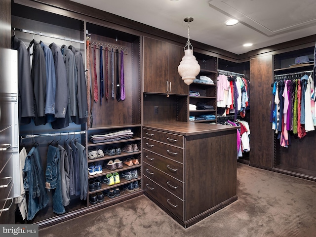 walk in closet with carpet flooring