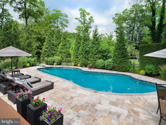 pool featuring a patio and a diving board