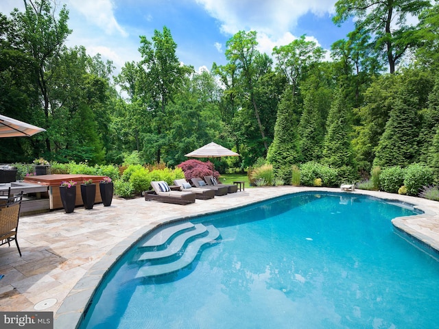 pool featuring an outdoor hangout area and a patio area