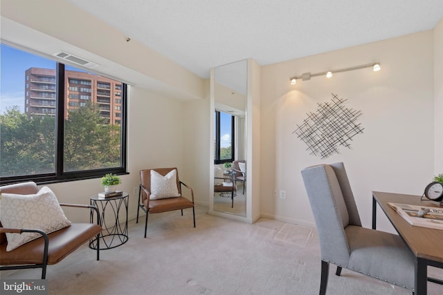 carpeted office space with visible vents