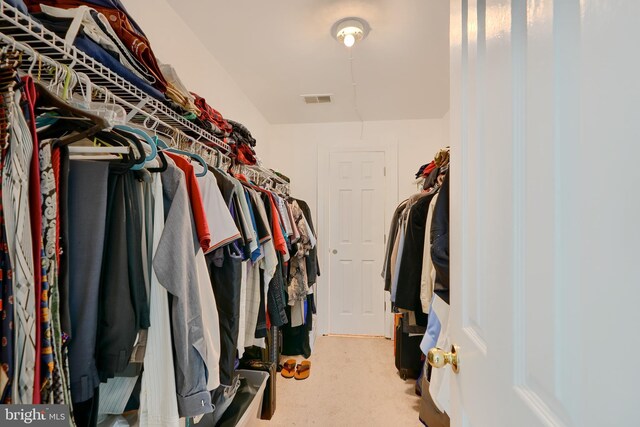walk in closet with carpet floors