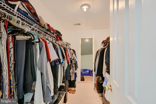 spacious closet with carpet