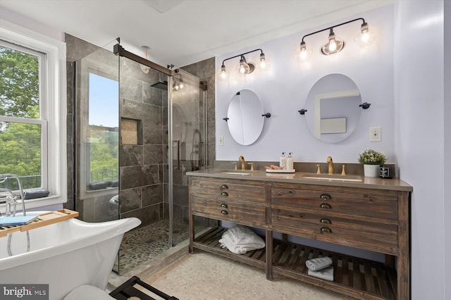 bathroom featuring a stall shower, healthy amount of natural light, and double vanity