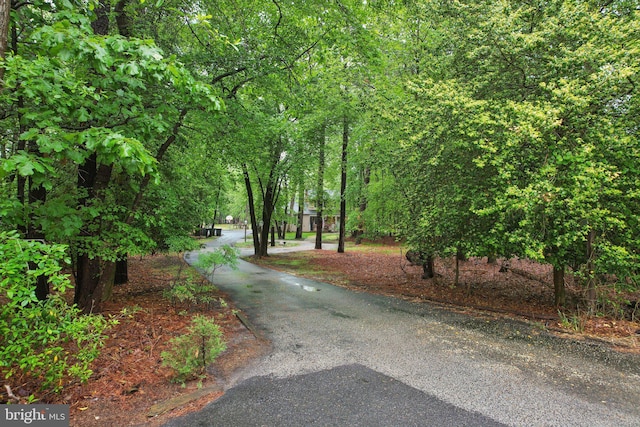 595 Tabernacle Rd, Medford, NJ 08055 - view of asphalt driveway