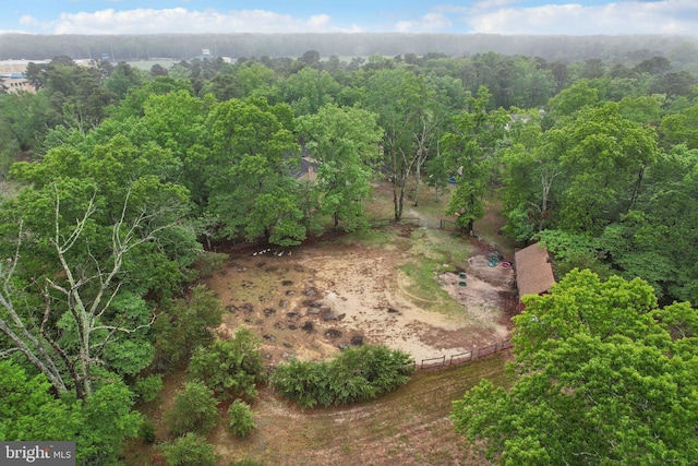 595 Tabernacle Rd, Medford, NJ 08055 - aerial overview of property's location with a forest