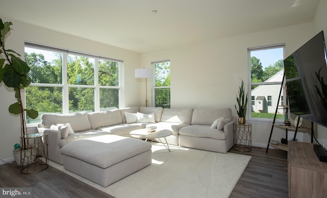 807 Anthony Dr, Harrisburg, PA 17111 - living room featuring wood finished floors and baseboards