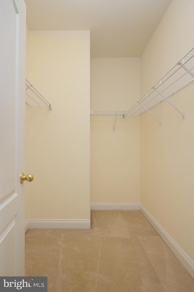 spacious closet with carpet