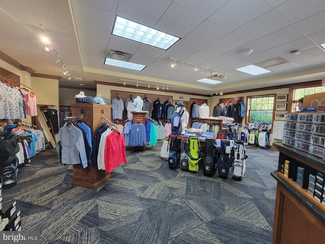 misc room with carpet flooring, visible vents, and track lighting