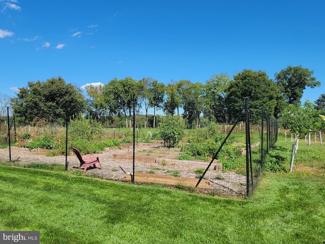 exterior space with a lawn and a vegetable garden