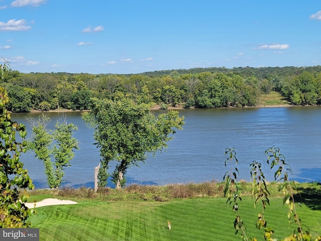 property view of water featuring a forest view