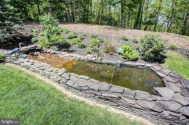 view of yard with a garden pond
