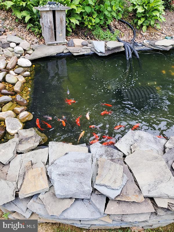 details with a small pond