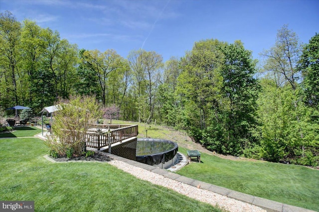 view of home's community featuring a yard