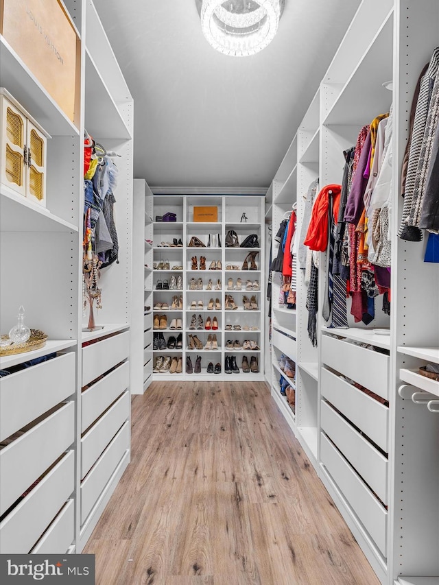 13295 Rollie Road E Rd, Bishopville, MD 21813 - walk in closet with light wood-style floors
