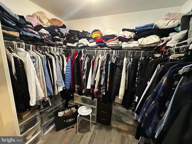 13 Verbena Dr, Lancaster, PA 17602 - walk in closet with wood finished floors