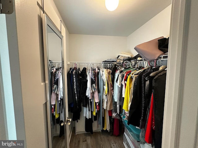 13 Verbena Dr, Lancaster, PA 17602 - spacious closet featuring wood finished floors