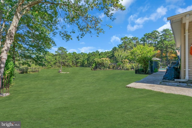 429 Thomas Ave, Little Egg Harbor Twp, NJ 08087 - view of yard