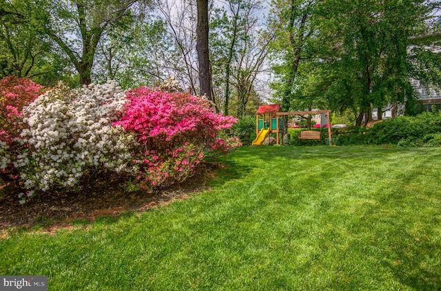 view of yard with a playground