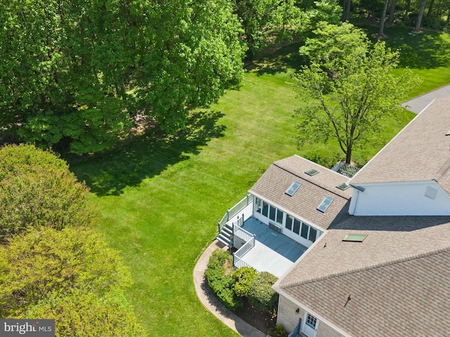 bird's eye view