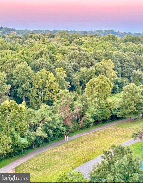 200 N Pickett St Unit 807, Alexandria, VA 22304 - aerial view of a heavily wooded area