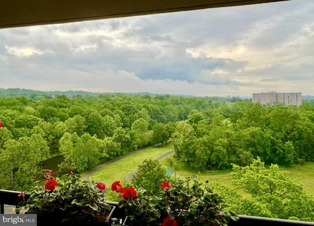 200 N Pickett St Unit 807, Alexandria, VA 22304 - drone / aerial view of a heavily wooded area