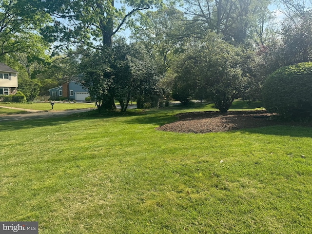 view of yard