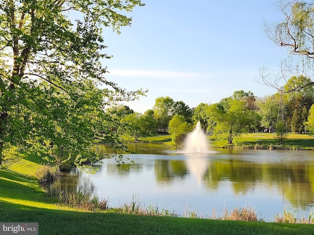 property view of water