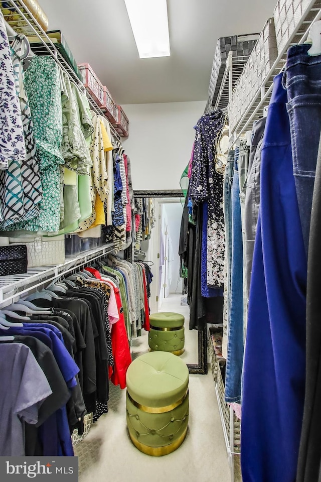 5922 Terrapin Pl Unit 5922, Alexandria, VA 22310 - view of walk in closet